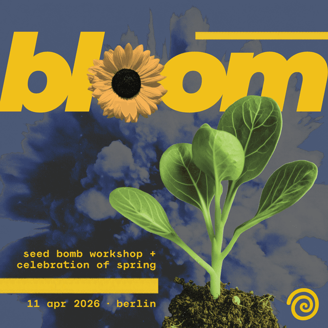 bloom 🌻 seed bomb workshop + celebration of spring